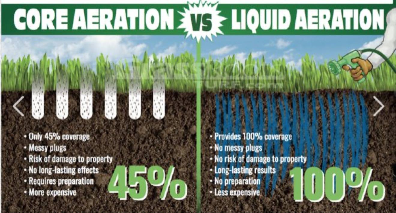 Illustrated comparison of core aeration and liquid aeration