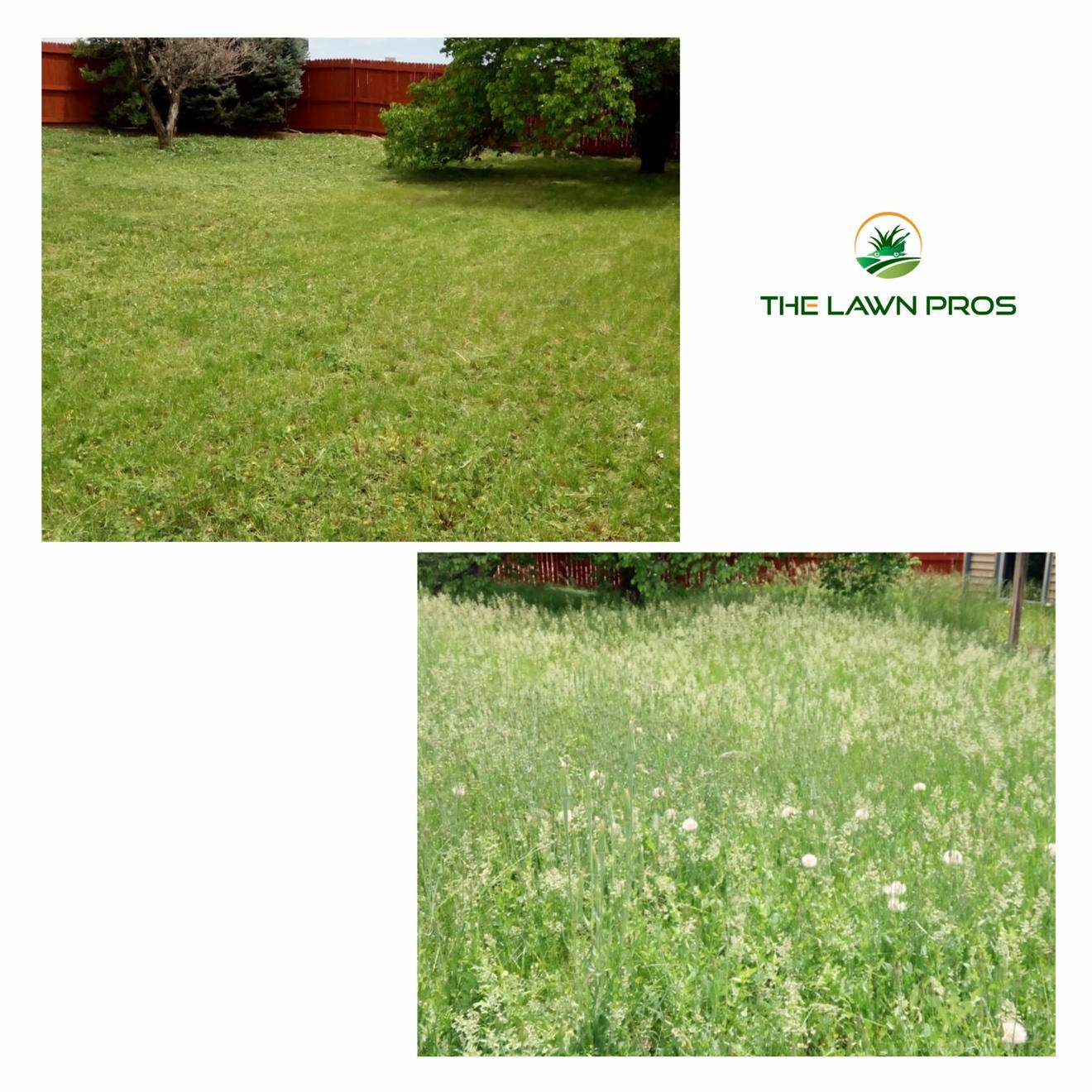 Before-and-after collage of an overgrown lawn and the same yard after mowing