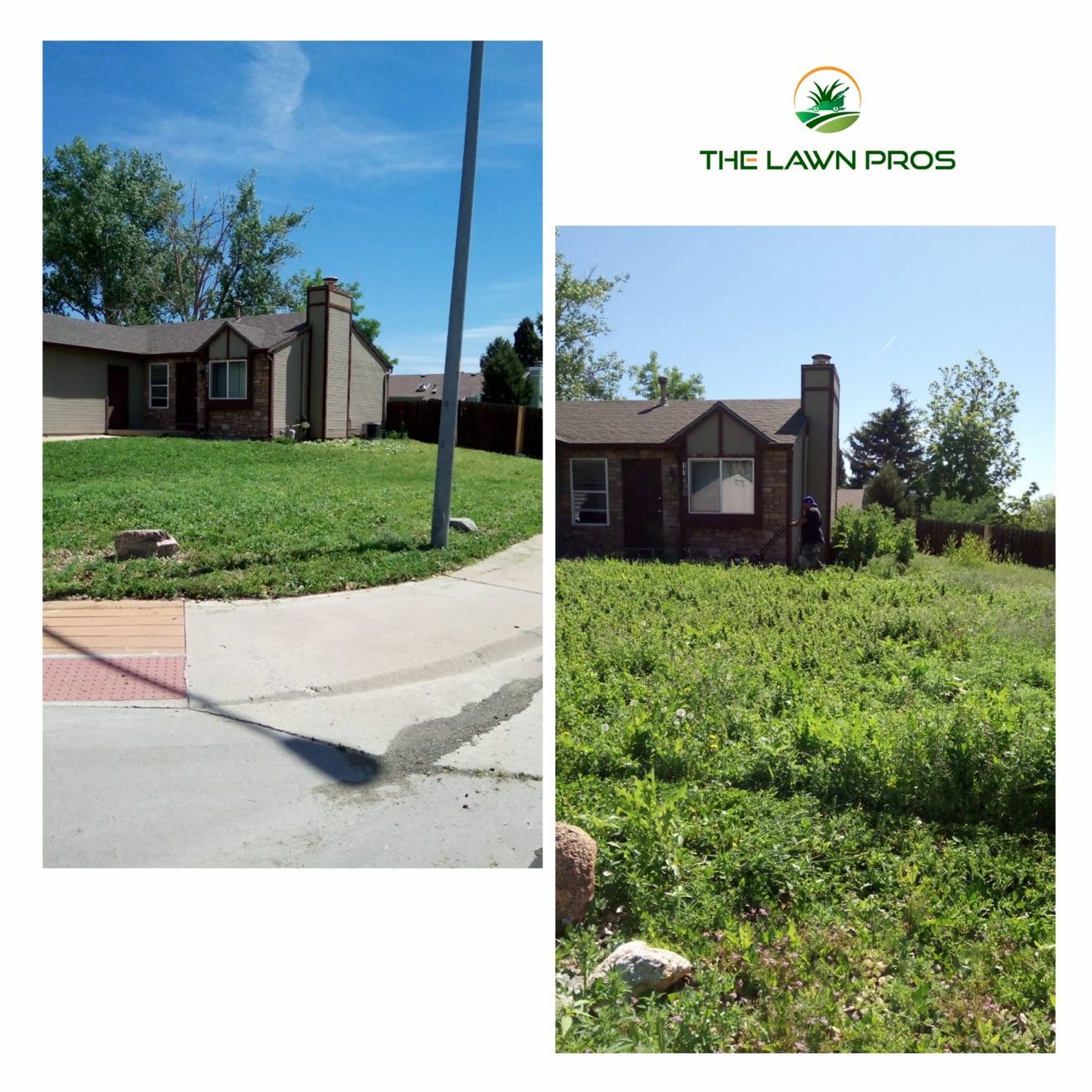 Before-and-after collage of a tall overgrown front yard and the same property after mowing