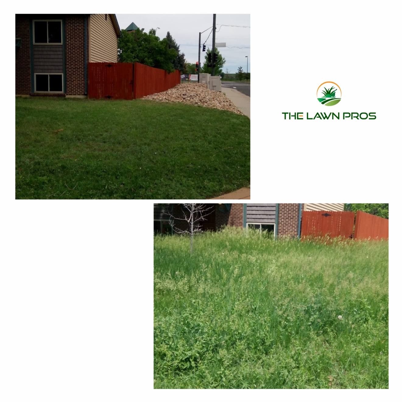 Before-and-after collage of an overgrown side lawn and the same area after mowing