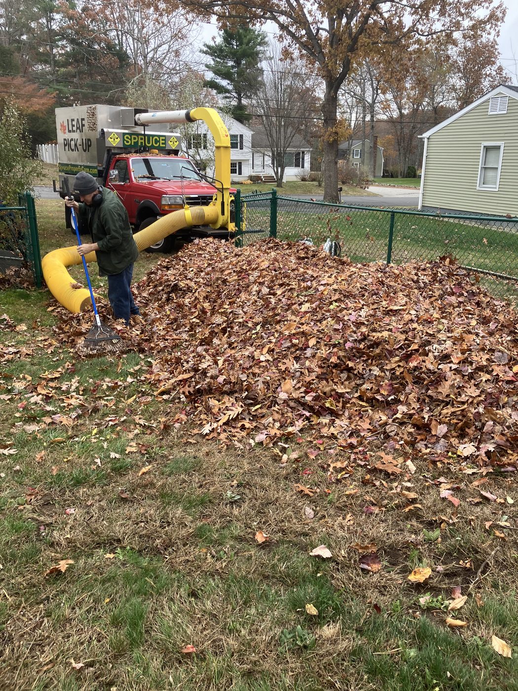 Yard cleanup work at a residential property