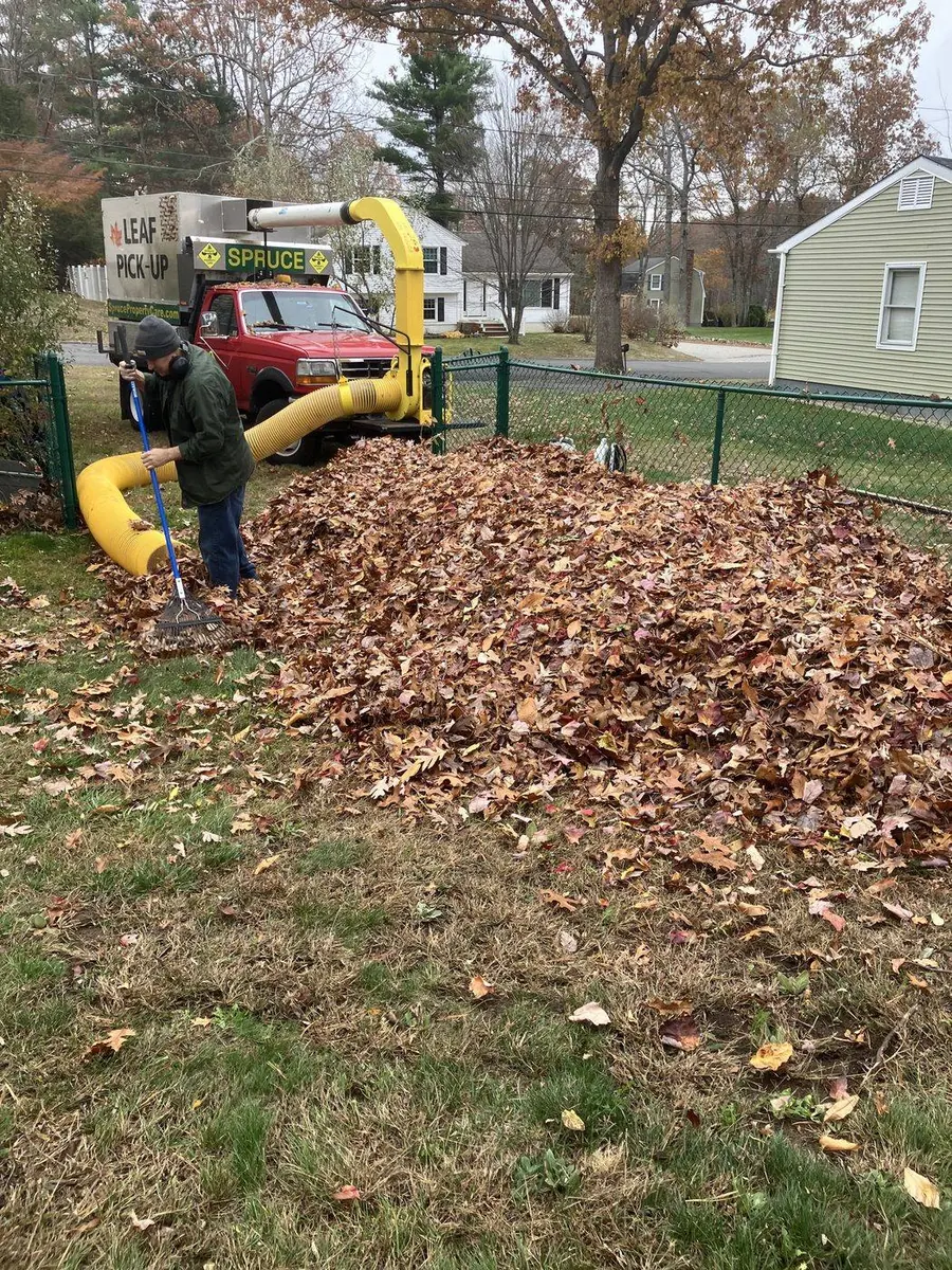 Worker raking fall leaves into a pile during a residential yard cleanup