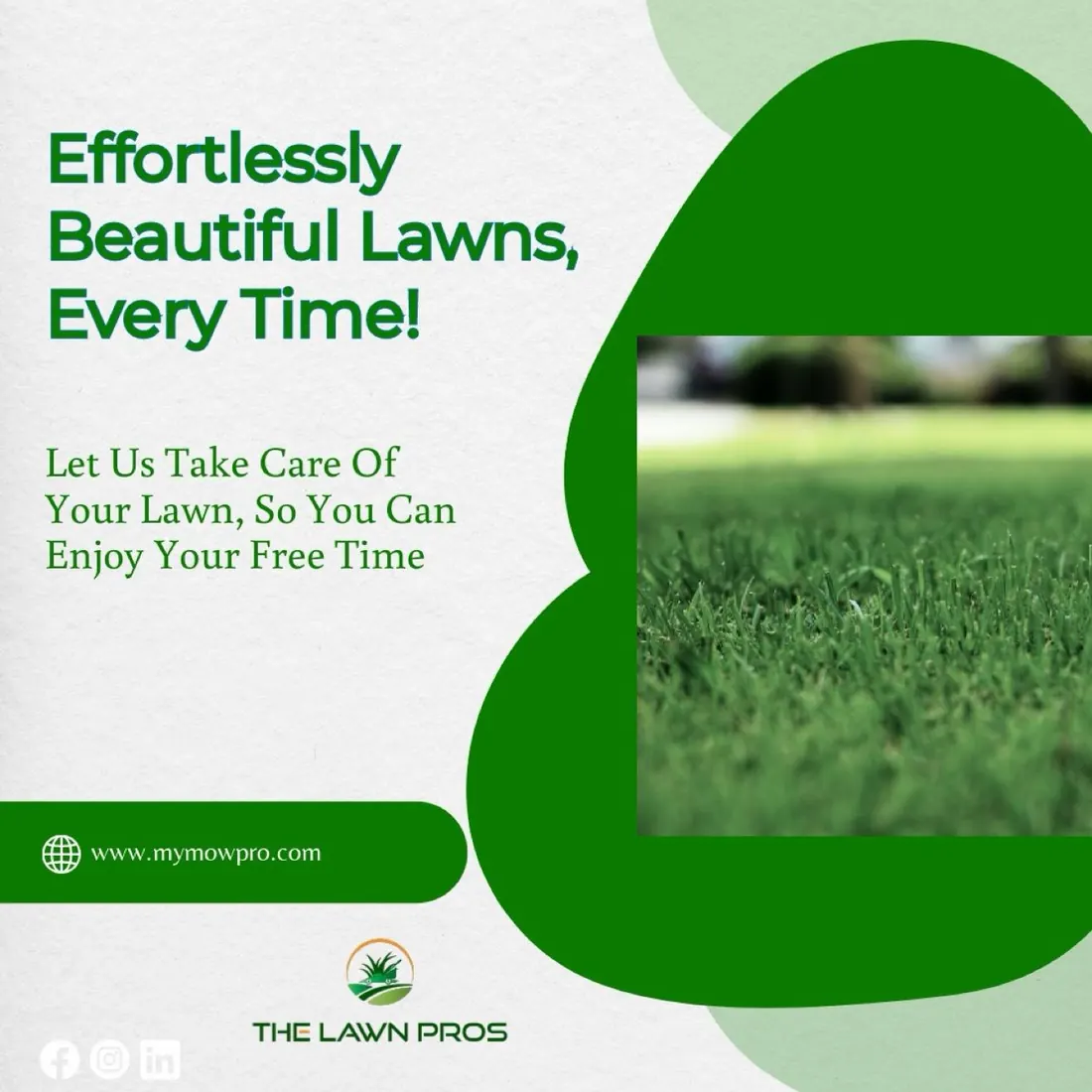Lawn care graphic with a close-up view of green grass